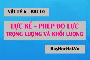 Lực kế là gì, phép đo lực là gì? Công thức giữa trọng lượng và khối lượng của vật - Vật lý 6 bài 10